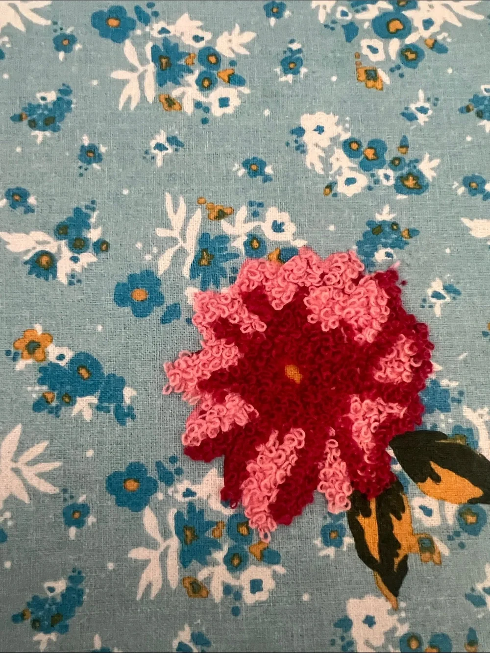 The Pioneer Woman Sweet Rose Red Blue Gingham Placemat Set